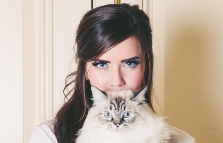 crazy cat lady