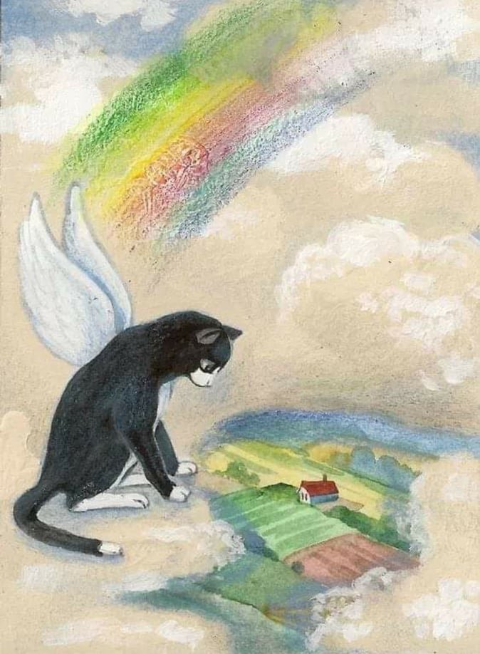 losing a cat