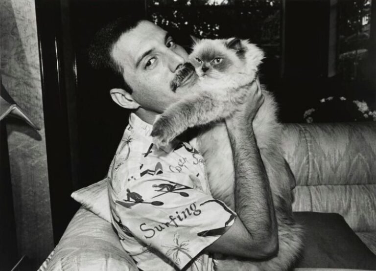 The 10 Biggest Famous Cat Lovers of All Time