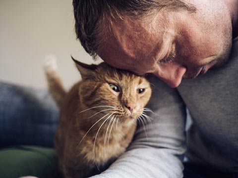 losing a cat