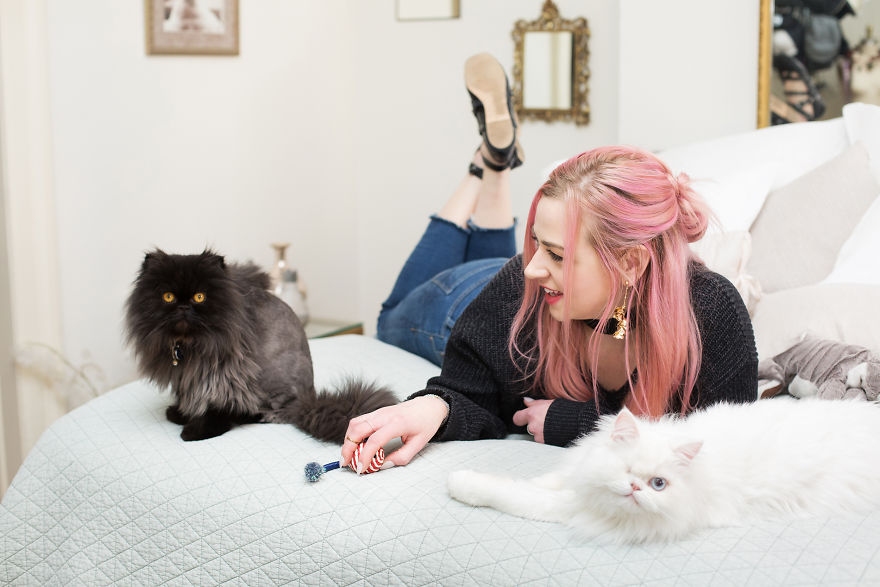 crazy cat lady stereotype