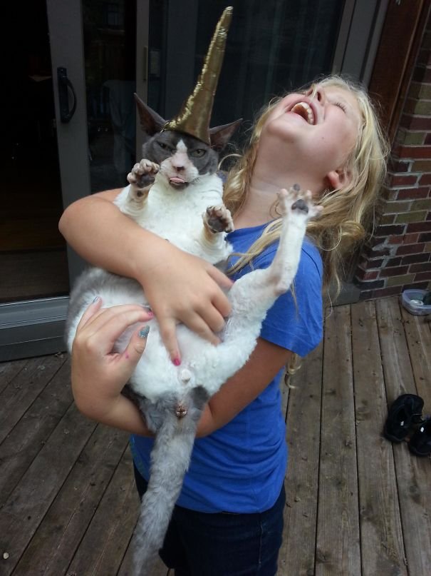 leave cats with kids