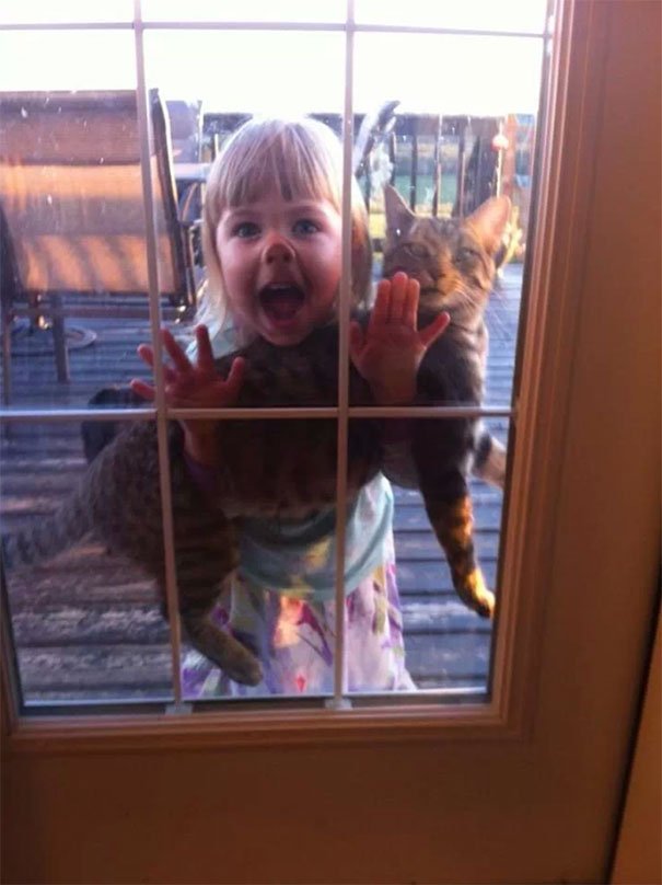 leave cats with kids