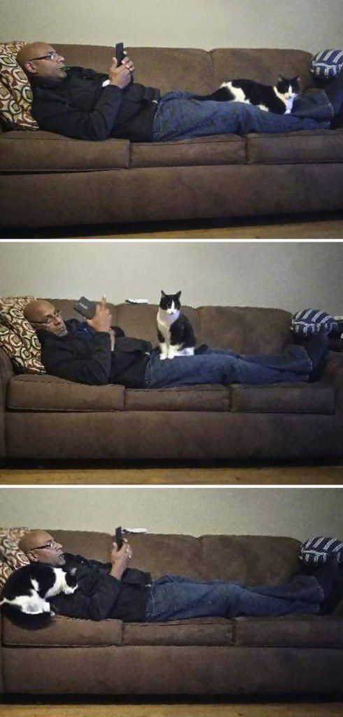 people who didn't want cats