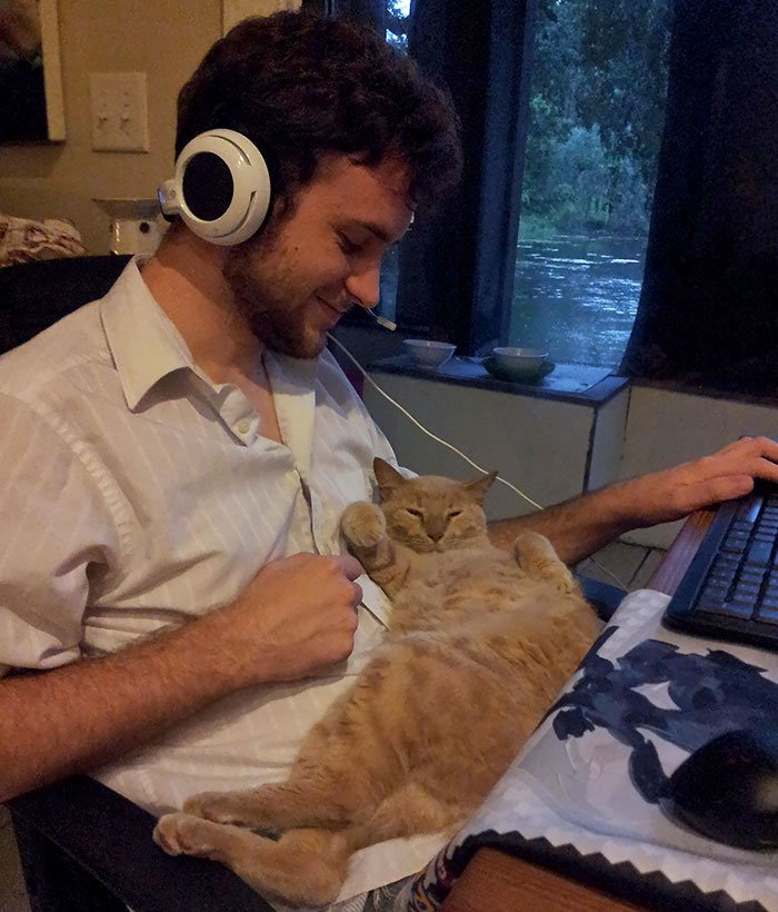 people who didn't want cats