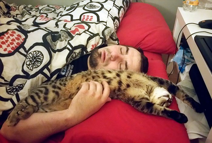 people who didn't want cats
