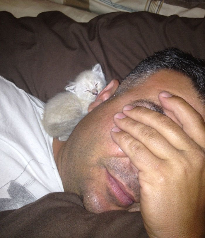 people who didn't want cats