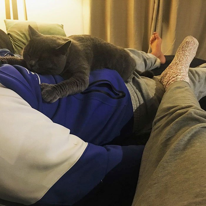 people who didn't want cats