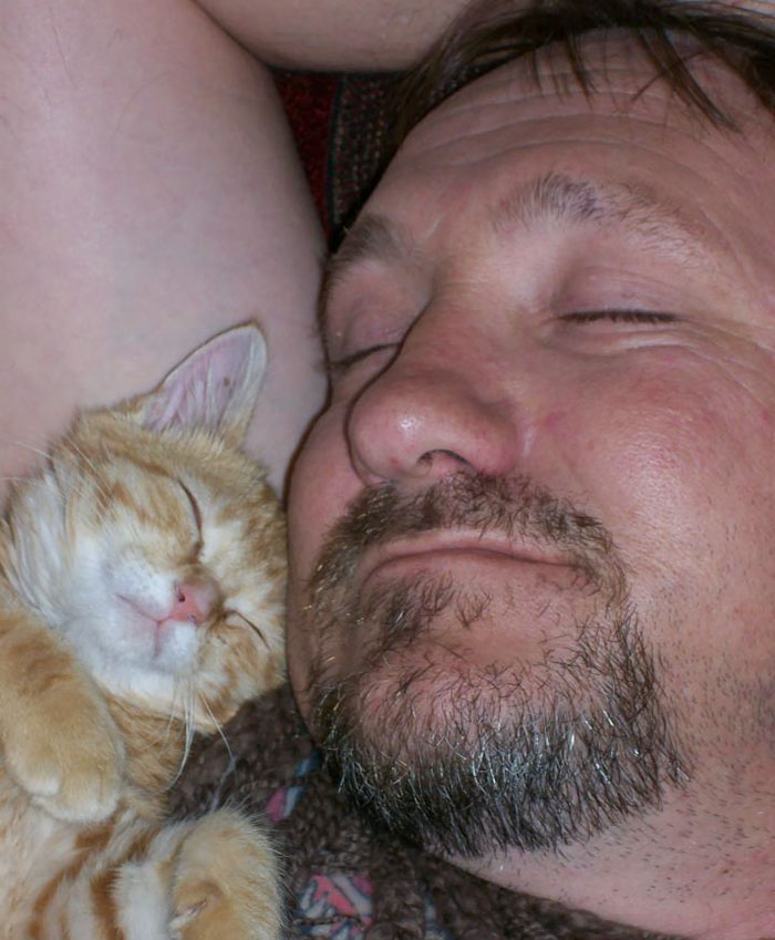 people who didn't want cats