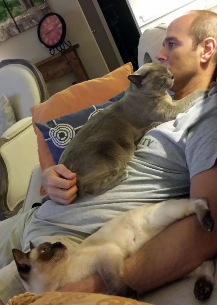 people who didn't want cats