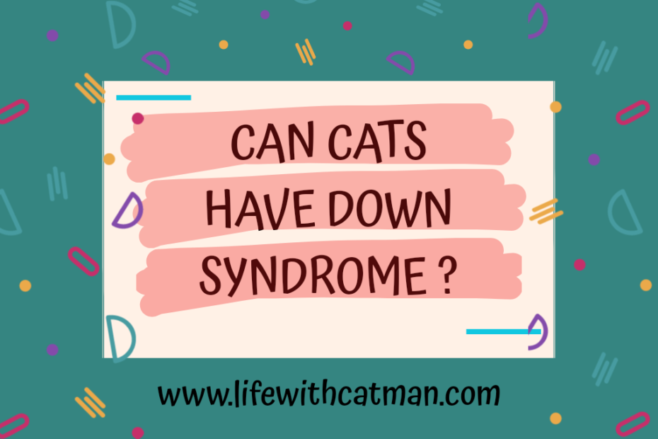 cat with down syndrome