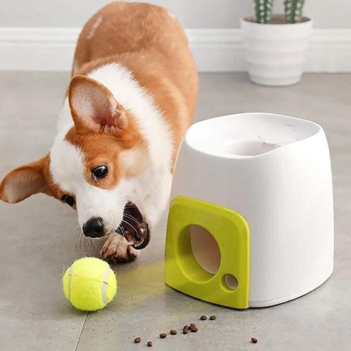 toys for dogs