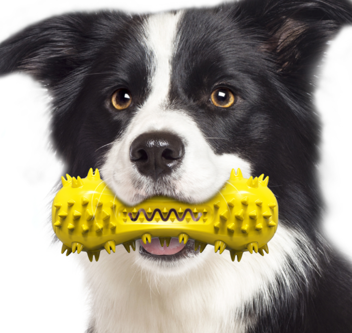 toys for pets