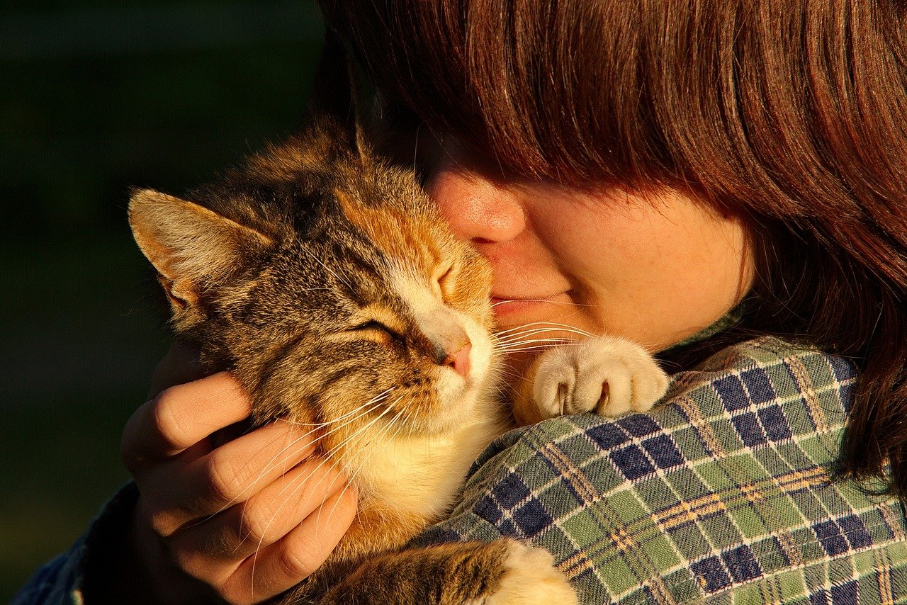 cat to human years