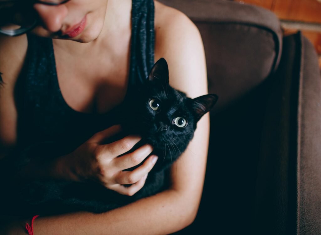 cat age to human age