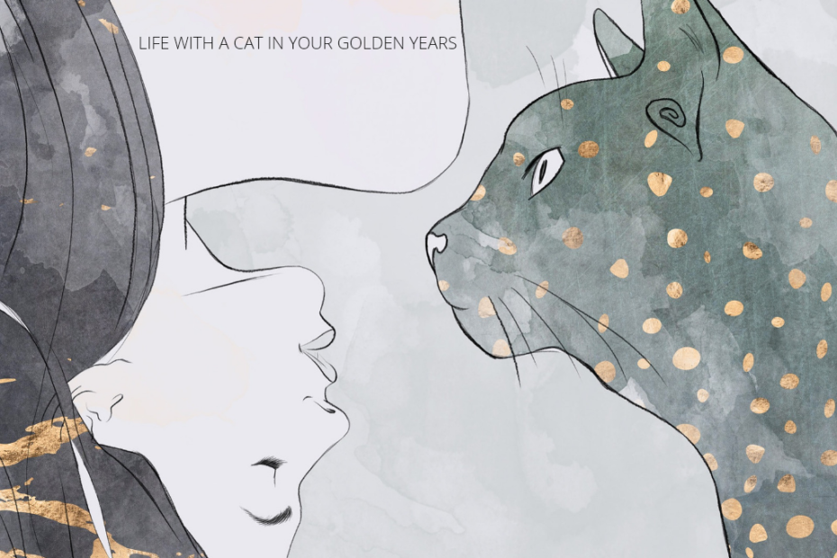 cat in your golden years