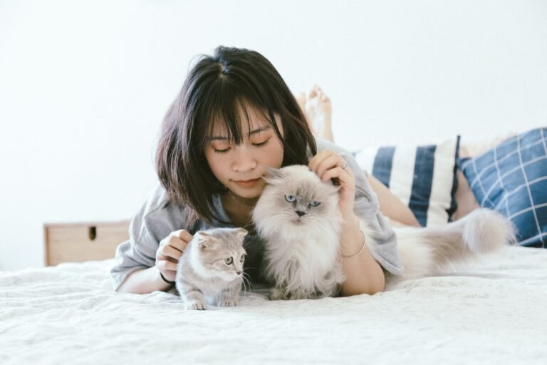 can cats protect against negative energy