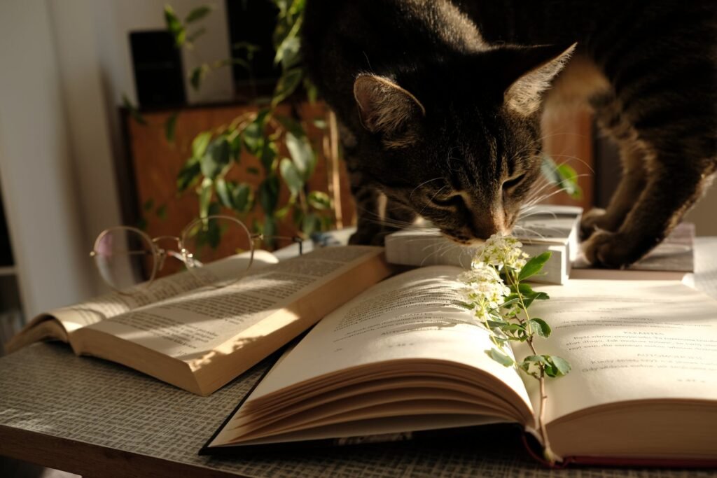 can cats be vegan