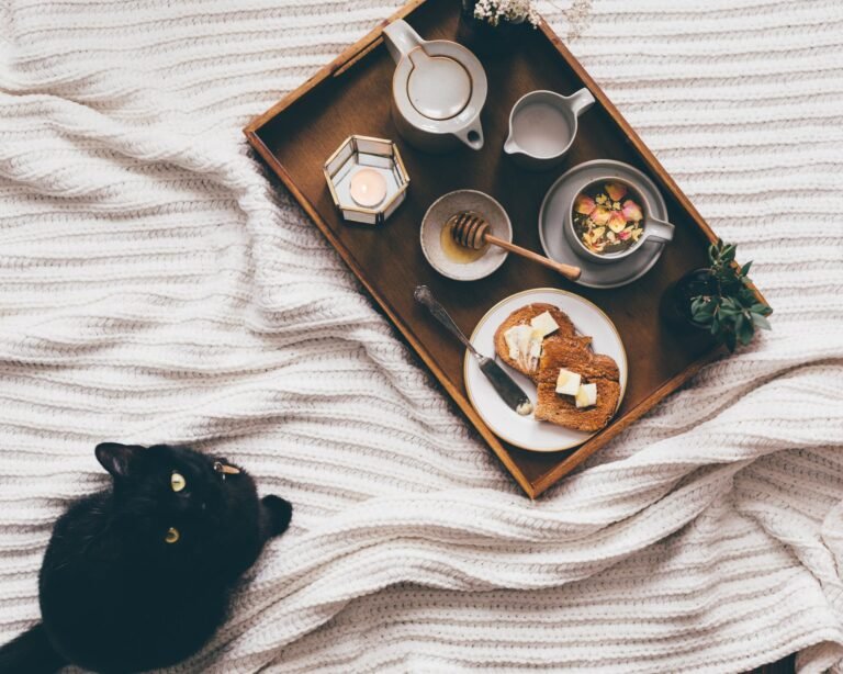 Protein Sources in Cat Food