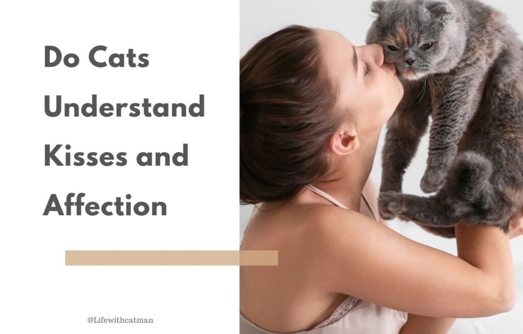 Do cats understand kisses and affection woman kissing her cat