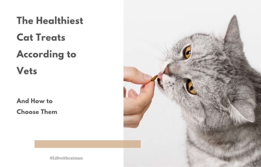 The Healthiest Cat Treats According to Vets - Cat being hand-fed a healthy vet-recommended treat