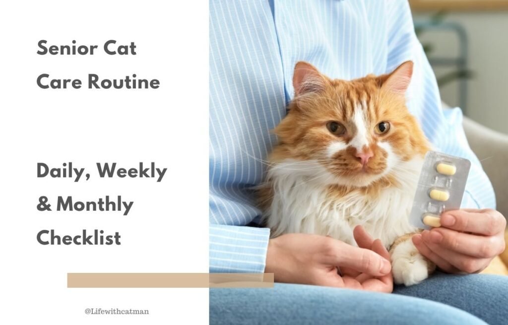 Senior Cat Care Routine -Senior orange and white cat sitting with a caregiver who is holding medication tablets, representing senior cat care routine including daily, weekly and monthly checklist.