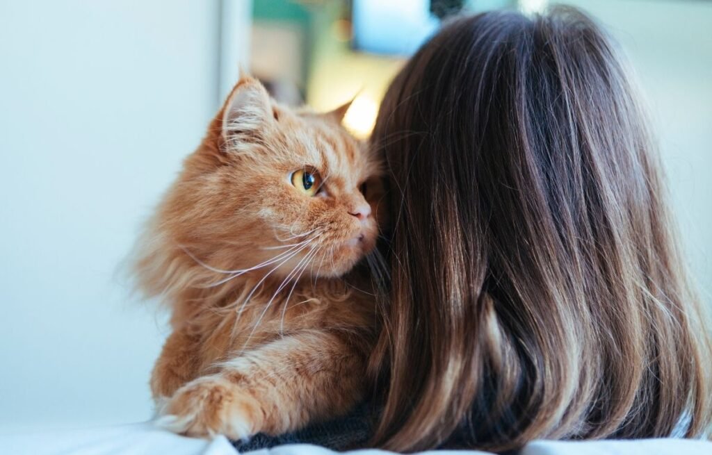 Cat resting on owner’s shoulder during a quiet indoor moment, showing how cats sense emotional changes and human stress – Can My Cat Sense Stress