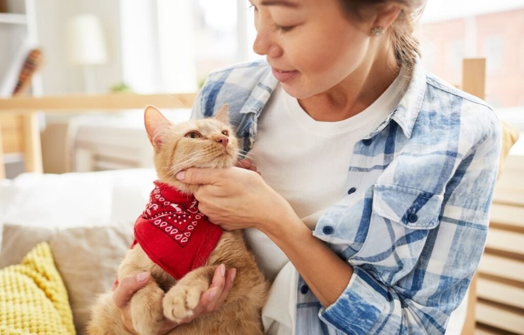 Owner gently holding a cat during a calm indoor moment, showing how cats respond to emotional shifts and human stress – Can My Cat Sense Stress
